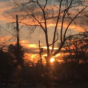 Meet your Posher, Gloria